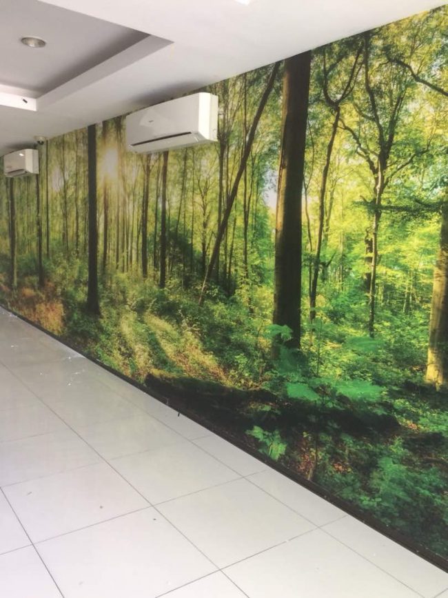 3D wallpaper printing