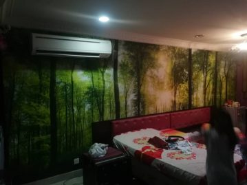 3D wallpaper printing
