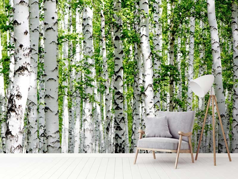 mural printing malaysia mural printing malaysia