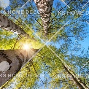 ceiling wallpaper