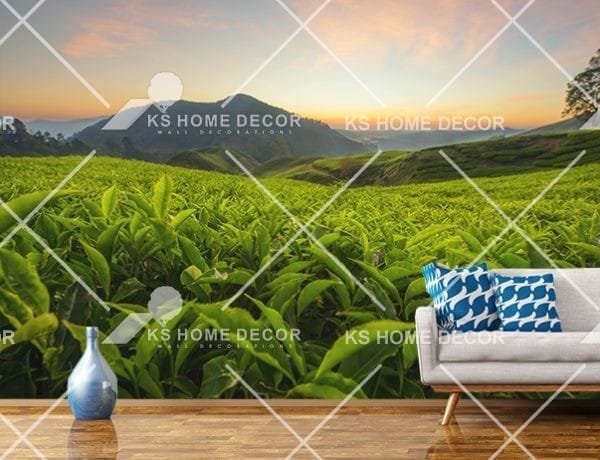 nature wallpaper