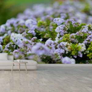 flowers wallpaper