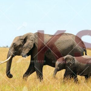 Elephants Field Animal & Wildlifes Mural 10748983_xxl