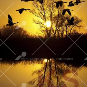Sunset Birds Trees Animal & Wildlifes Mural 11572204_xxl