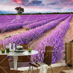 Sunset Lavender Field Scene Nature Floral Mural 13040358