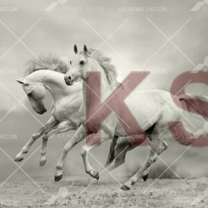 Black & White Horses Animal & Wildlifes Mural 13187682_xxl