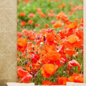 Poppy Floral Scene Nature Mural 13881878