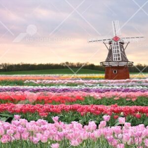 Beautiful Tulips Netherlands Scene Nature Floral Mural 14014490