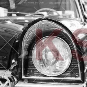 Black & White Old Fashion Luxury Car Nature Mural 15115249_xl