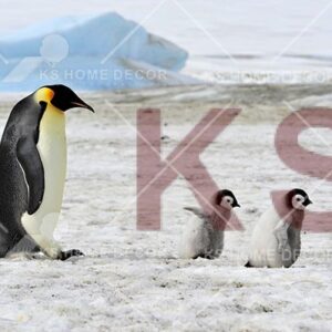 Penguins Animal & Wildlifes Mural 15395419_xxl