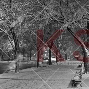 Black & White Paris Winter Street View Nature Mural 16437562_xl