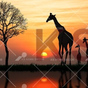 Sunset Giraffe Tree Animal & Wildlifes Mural 17928778_xxl