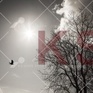 Black & White Sky Tree Nature Mural 19329043_xxl