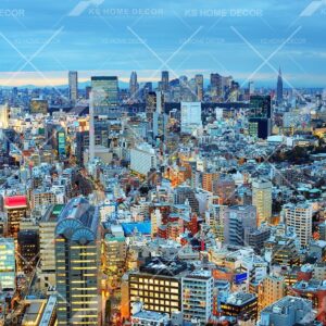 City Skyline Scene Mural B19473957