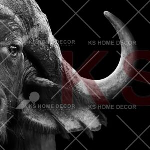 Black & White Elephant Animal & Wildlifes Mural20753509_xl