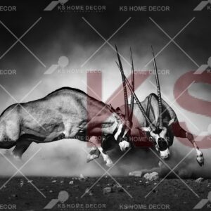 Black & White Bulls Animal & Wildlifes Mural 32578838