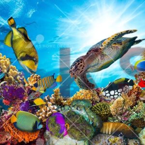 Ocean Underwater Turtle Fishes Animal & Wildlifes Mural 44151192_xxl