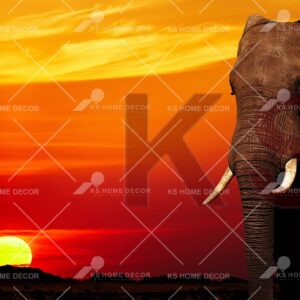 Sunset Scene Elephant Nature Animal & Wildlifes Mural 8280570