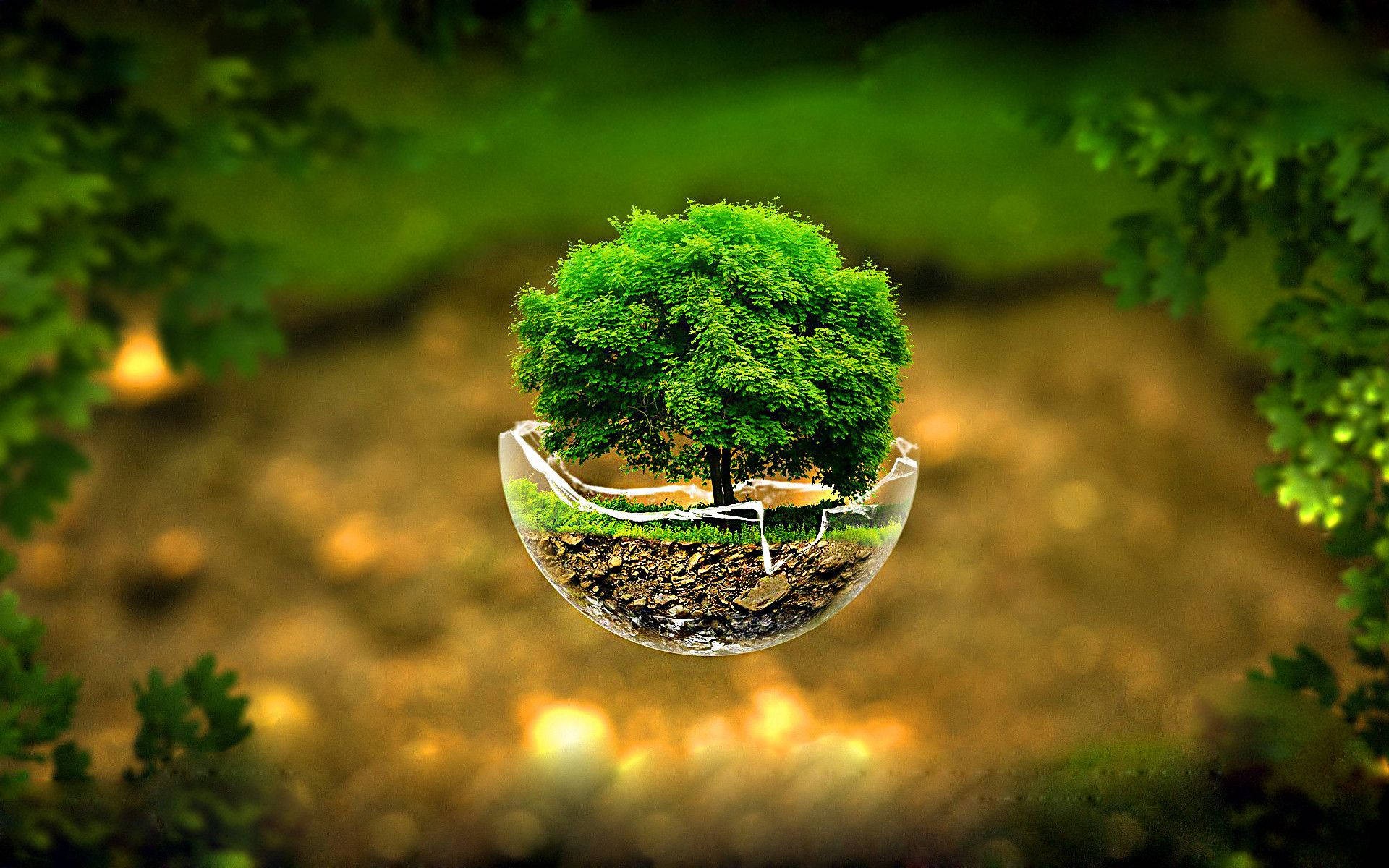 3d wallpaper 3d wallpaper
