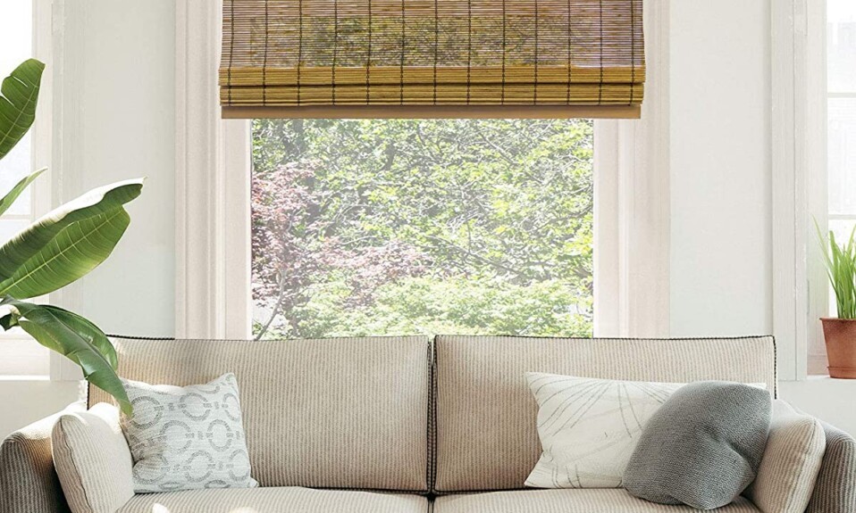 window blind window blinds