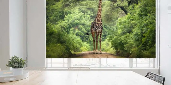 Custom Roller Blinds Printing Custom Roller Blinds Printing