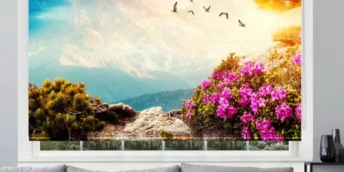 Printed Roller Blind